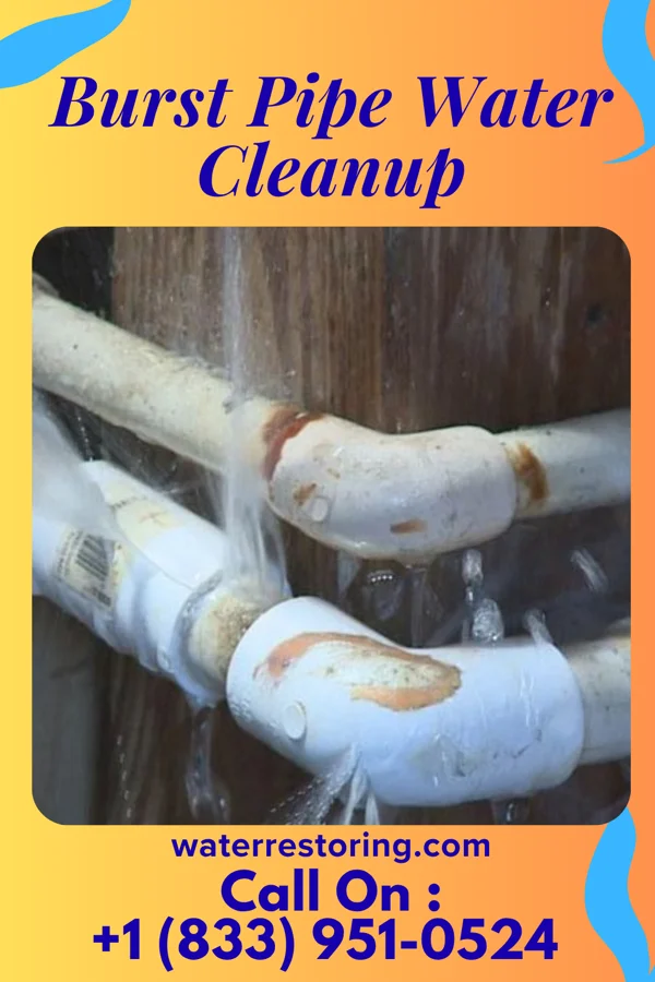 Burst Pipe Water Cleanup in Tekonsha, MI