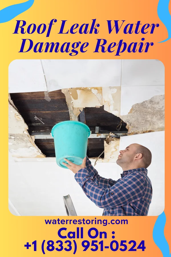 Roof Leak Water Damage Repair in Tekonsha, MI