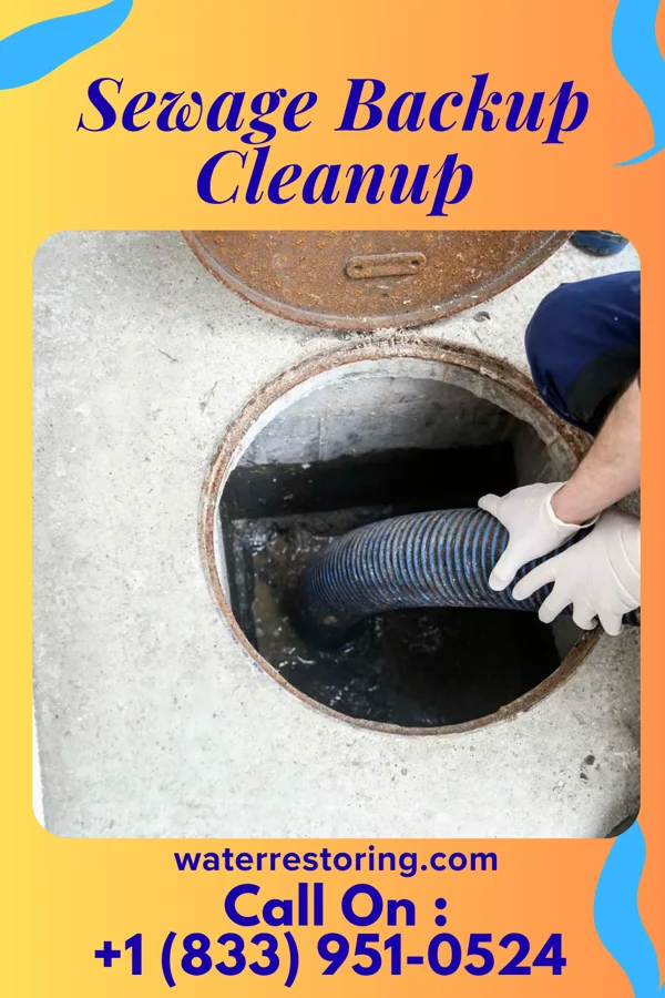Sewage Backup Cleanup in Tekonsha, MI